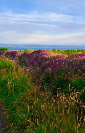 Heather Cottage Doolin